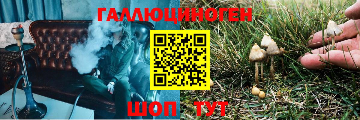 Галлюциногенные грибы Psilocybe Кулебаки
