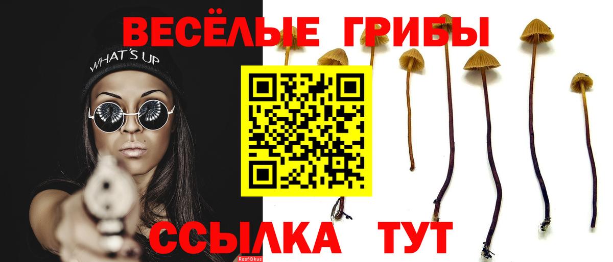 Галлюциногенные грибы ЛСД  Вход с VPN  Псилоцибиновые грибы Psilocybine cubensis  Кулебаки 